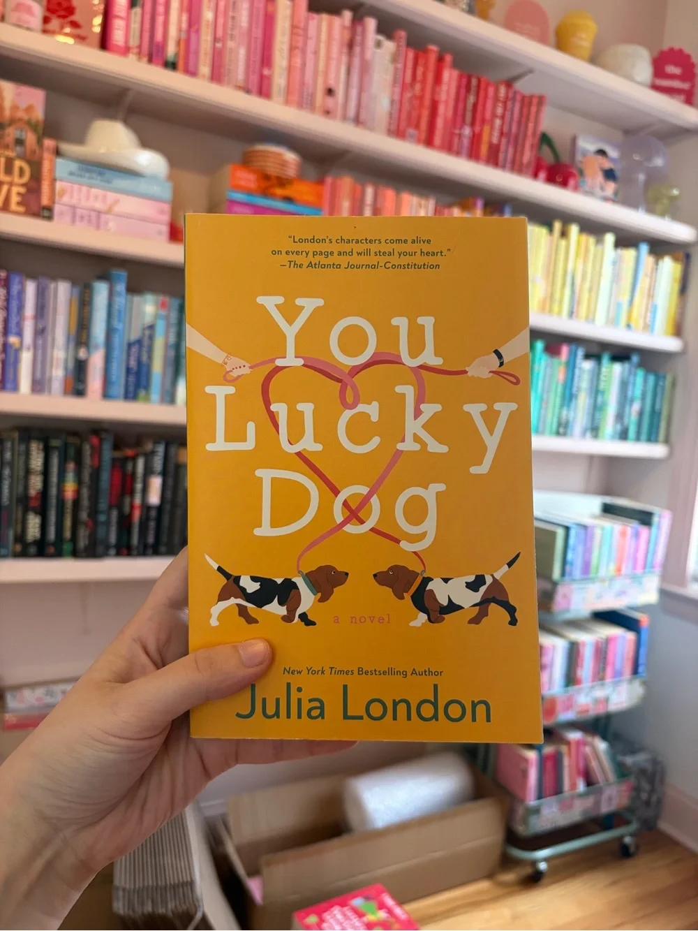 You Lucky Dog Novel - Yellow Cover
